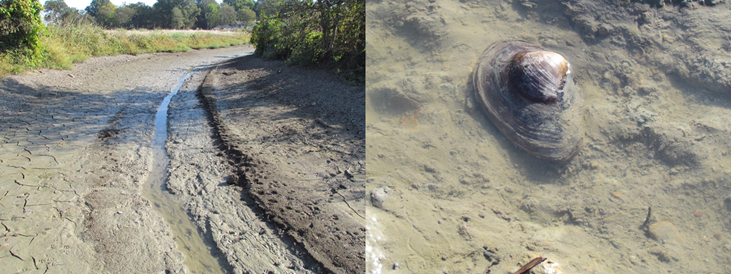 /ARSUserFiles/60600510/Roundaway Lake/Picture9.png